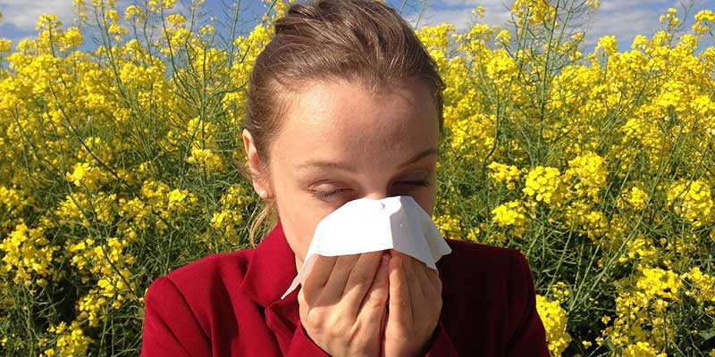 Seasonal Allergies Home Remedies